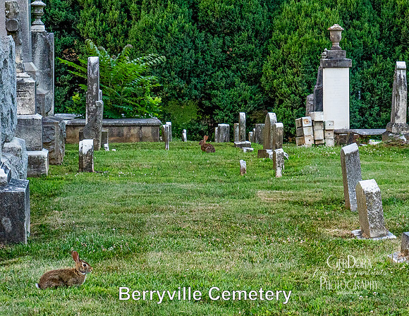 October - Berryville Cemetery